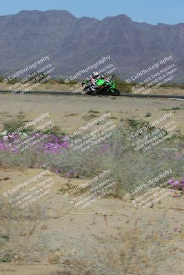 media/Feb-04-2023-SoCal Trackdays (Sat) [[8a776bf2c3]]/Turn 15 Inside Blooming (1050am)/